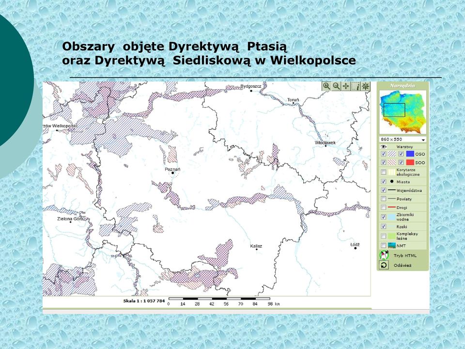 oraz Dyrektywą