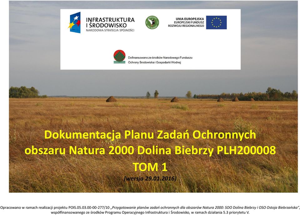 00-00-277/10 Przygotowanie planów zadań ochronnych dla obszarów Natura 2000: SOO Dolina Biebrzy i