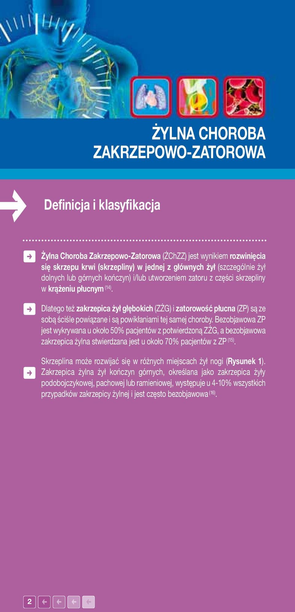 Dlatego też zakrzepica żył głębokich (ZŻG) i zatorowość płucna (ZP) są ze sobą ściśle powiązane i są powikłaniami tej samej choroby.