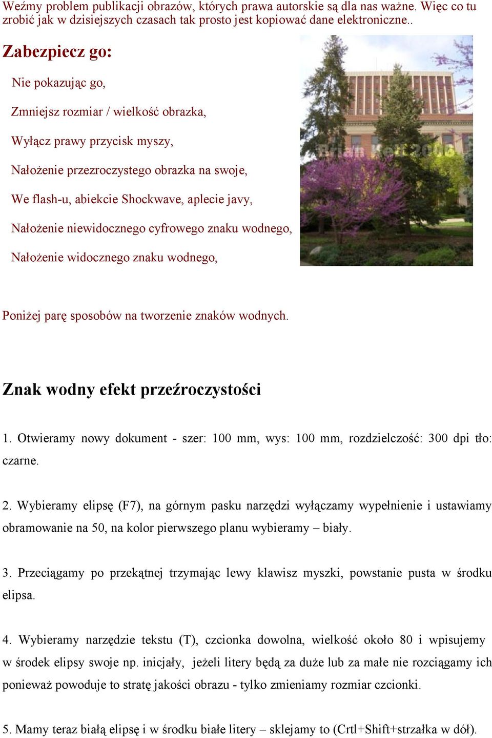 Nałożenie niewidocznego cyfrowego znaku wodnego, Nałożenie widocznego znaku wodnego, Poniżej parę sposobów na tworzenie znaków wodnych. Znak wodny efekt przeźroczystości 1.