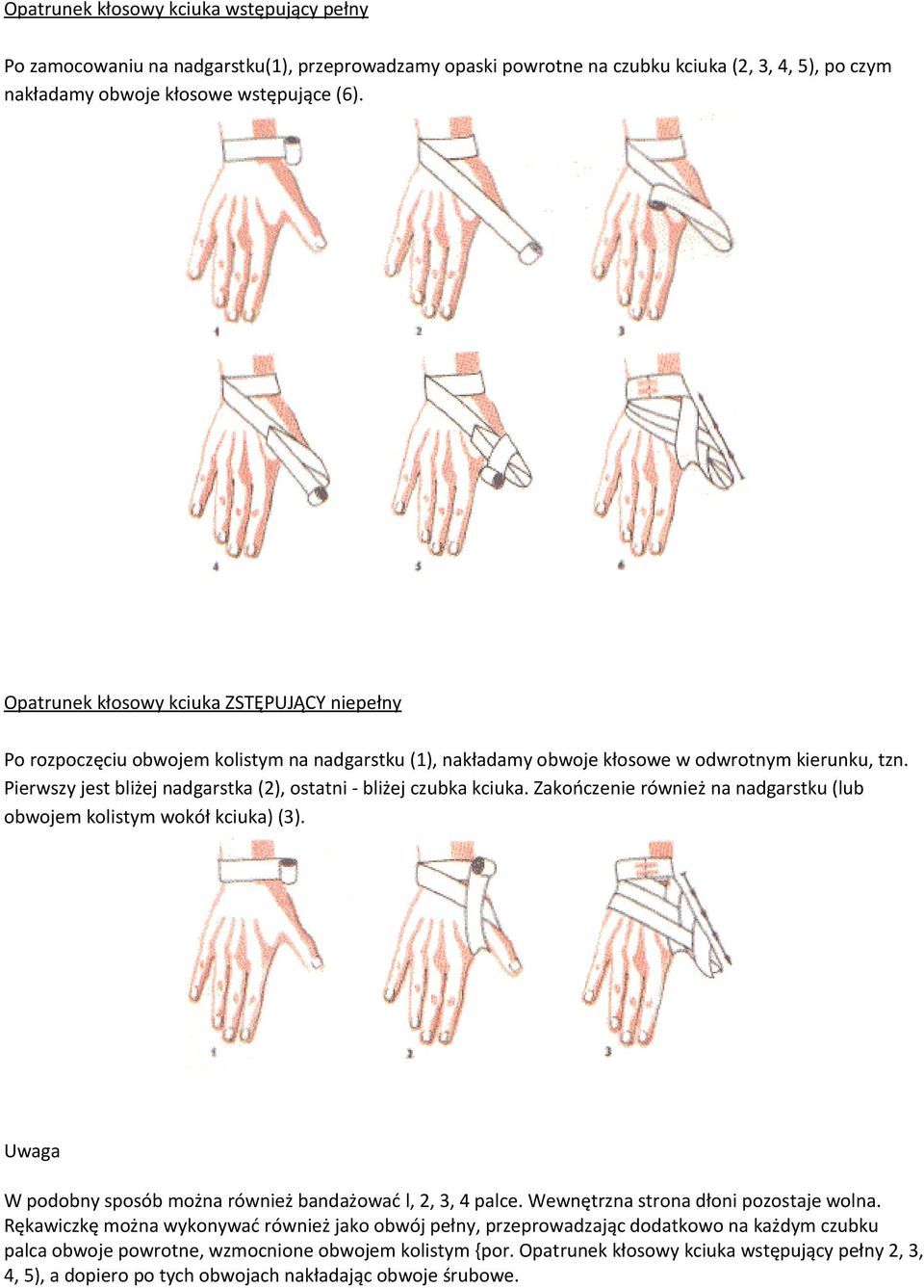 Pierwszy jest bliżej nadgarstka (2), ostatni - bliżej czubka kciuka. Zakończenie również na nadgarstku (lub obwojem kolistym wokół kciuka) (3).