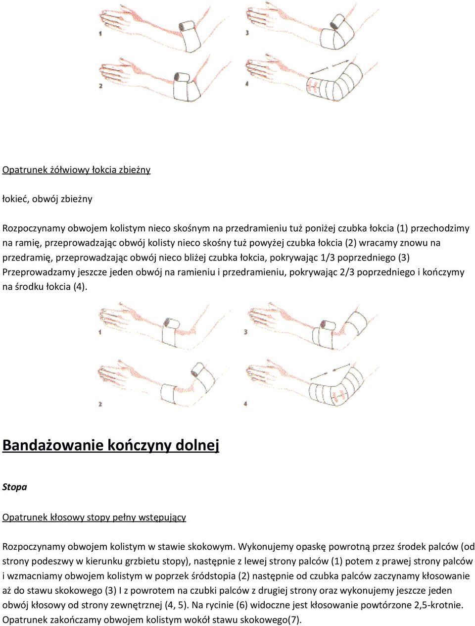 ramieniu i przedramieniu, pokrywając 2/3 poprzedniego i kończymy na środku łokcia (4).