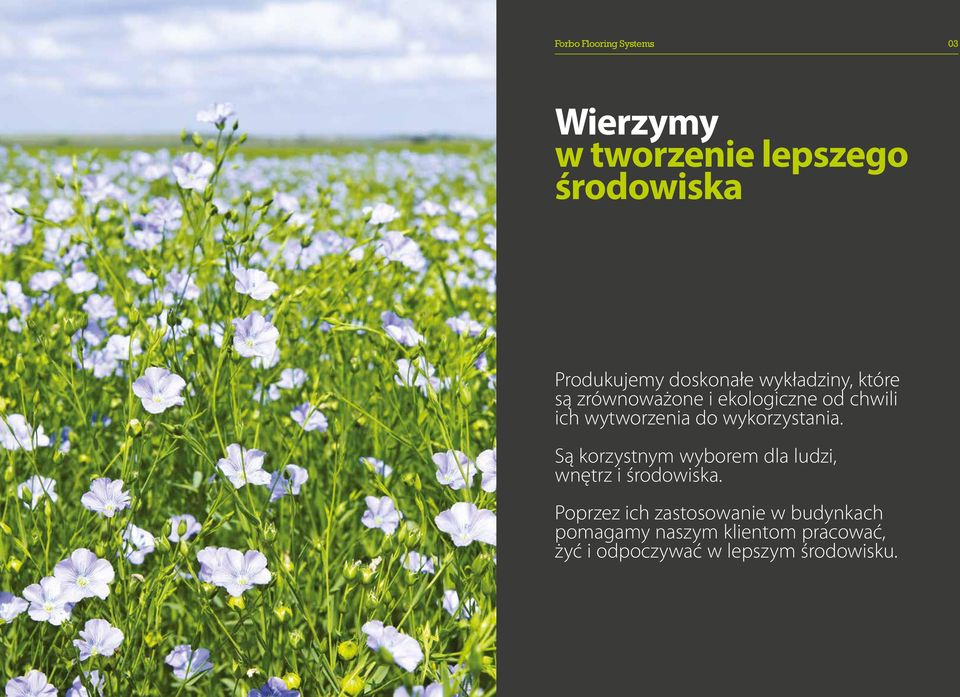 wykorzystania. Są korzystnym wyborem dla ludzi, wnętrz i środowiska.