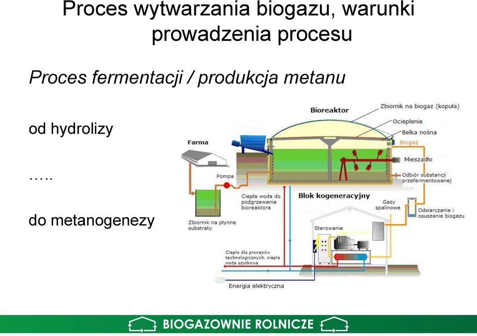 Proces fermentacji / produkcja