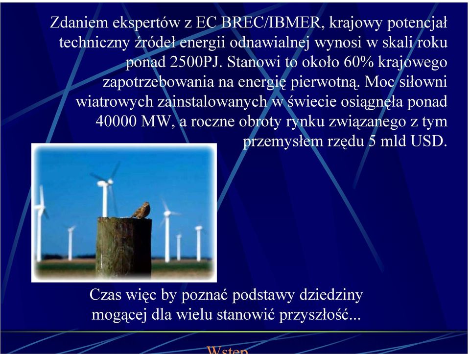 Moc siłowni wiatrowych zainstalowanych w świecie osiągnęła ponad 40000 MW, a roczne obroty rynku