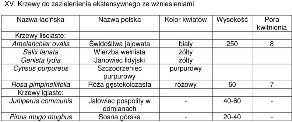 Cytisus purpureus Szczodrzeniec purpurowy purpurowy Rosa pimpinellifolia Róża gęstokolczasta różowy 60 7