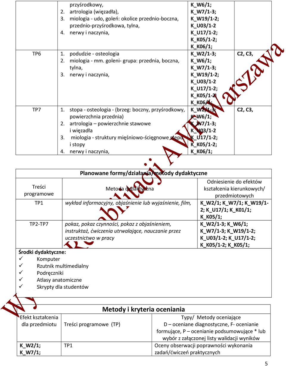 miologia - struktury mięśniowo-ścięgnowe stępu i stopy 4.