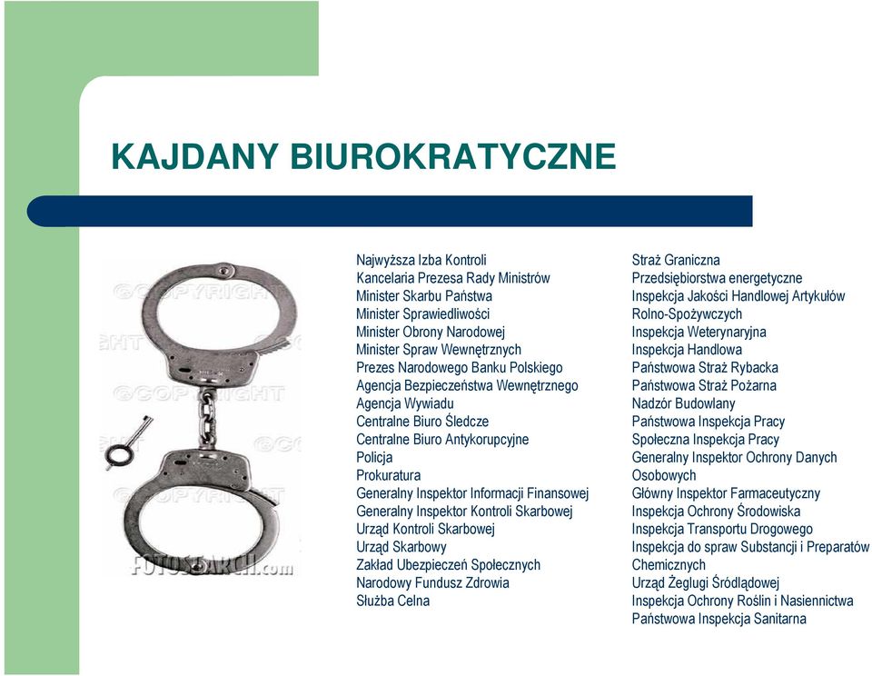 Generalny Inspektor Kontroli Skarbowej Urząd Kontroli Skarbowej Urząd Skarbowy Zakład Ubezpieczeń Społecznych Narodowy Fundusz Zdrowia SłuŜba Celna StraŜ Graniczna Przedsiębiorstwa energetyczne