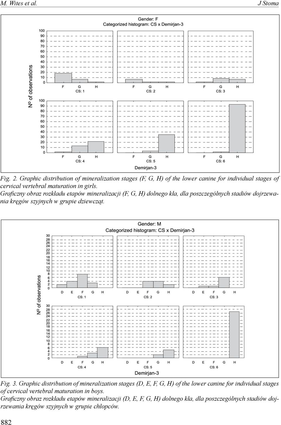 Graficzny obraz rozkładu etapów mineralizacji (F, G, H) dolnego kła, dla poszczególnych stadiów dojrzewania kręgów szyjnych w grupie dziewcząt. Fig. 3.