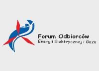 3.5. Współpraca z organizacjami pozarządowymi The European Chemical Industry Council (CEFIC) budowanie i realizacja strategii lobbingowej w unijnym procesie legislacyjnym The International Federation