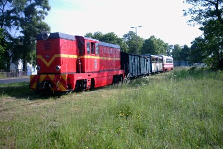 Załącznik nr2 d Uchwały Rady Gminy Rgów Nr 67/XIV/2008 z dnia
