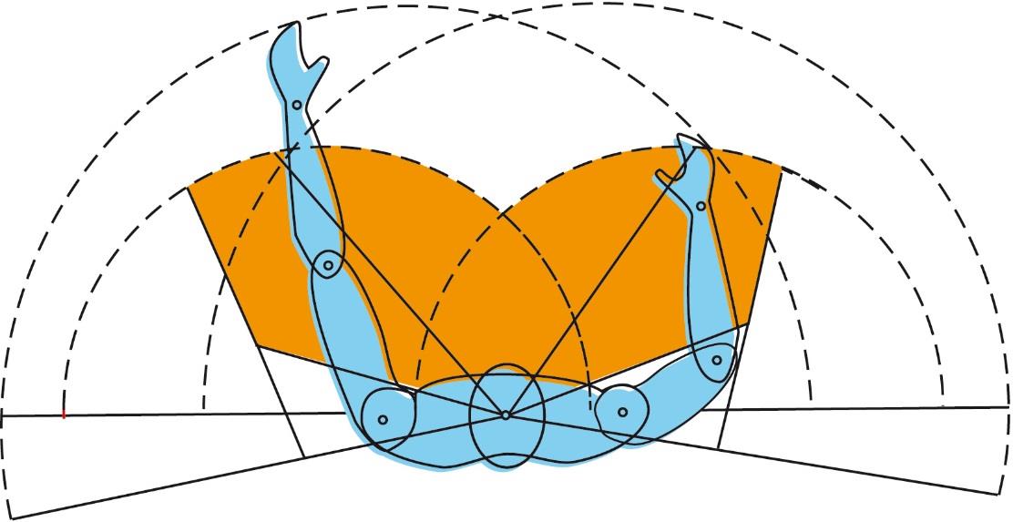 Ergonomia