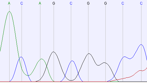 (a) Pacjent z CVID brak polimorfizmu (b) Pacjent z CVID homozygota S277S Rysunek 41: Polimorfizm S277S u braci z CVID. 4.3.