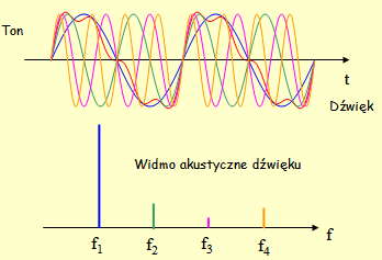 1. Fale dźwiękowe 1.1. Fala złożona Wyższe harmoniczne Fala wypadkowa powstaje w wyniku dodawania modu podstawowego i wyższych harmonicznych.