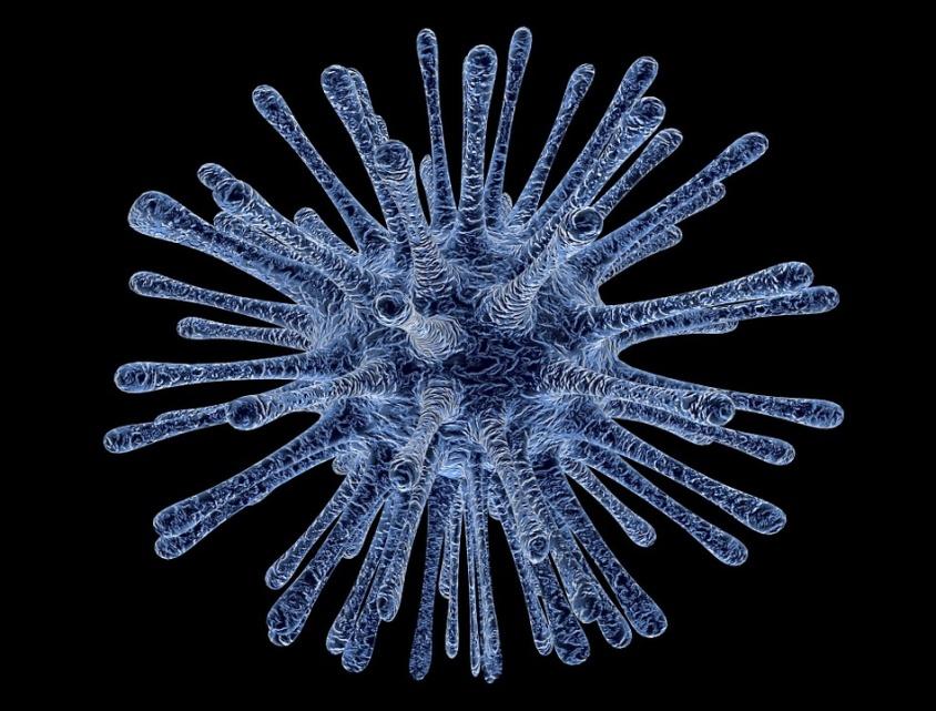 Zachorowania sezonowe u ludzi wywołują głównie 3 podtypy wirusa grypy