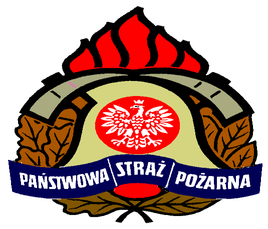 Komenda Powiatowa Państwowej Straży Pożarnej w Dąbrowie Tarnowskiej I N F O R M A C J A KOMENDANTA POWIATOWEGO PAŃSTWOWEJ STRAŻY
