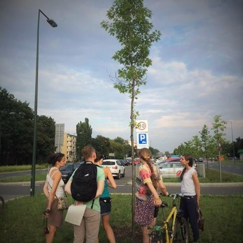- dbaj o drzewa i interweniuj Zagrożeniem dla drzew jest nie tylko ich wycinka, ale także złe zarządzanie. Często nowo posadzone drzewa zamierają, mają przesuszoną glebę, lub łamią się.