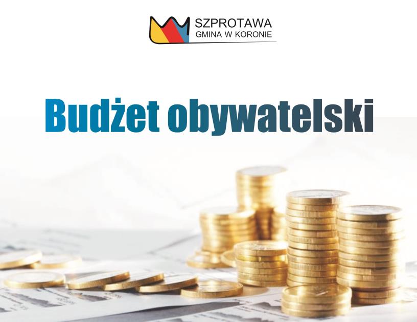 BUDŻET OBYWATELSKI PRACE ZESPOŁU OPINIUJĄCEGO 9 sierpnia br.