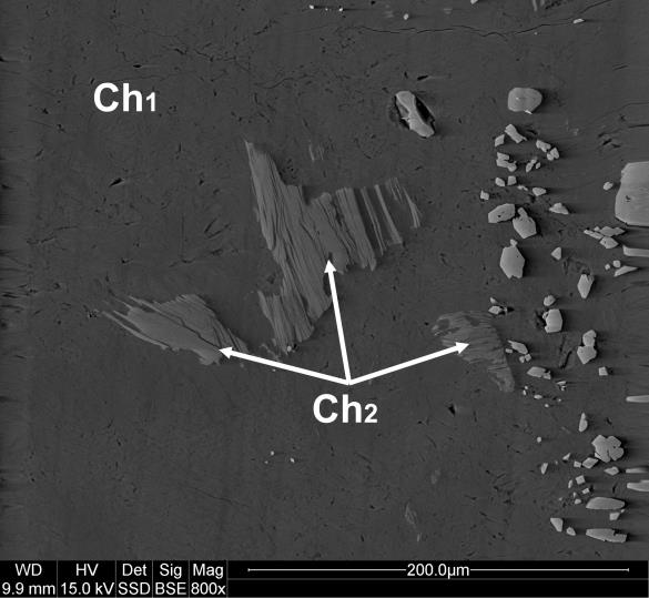 Fig. 5.8.3. Chloryt bladozielony o subnormalnych brunatnych barwach interferencyjnych klinochlor tkwiący w bezbarwnym agregacie chlorytowym o normalnych szarych barwach interferencyjnych szeridanity.