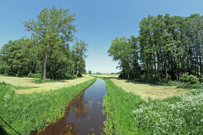 Rysunek 9 Pradolina Wieprza Źródło: http://www.kakolewnica.lublin.