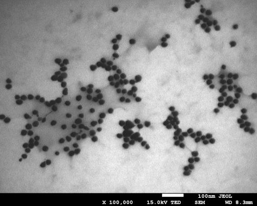 SYNTEZA NANOCZĄSTEK SREBRA V CYTRYNIAN TRISODU BOROWODOREK SODU FOSFINIAN SODU 3,0 2,5