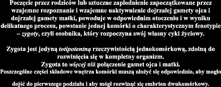 Komórka o fenotypie zygoty jest
