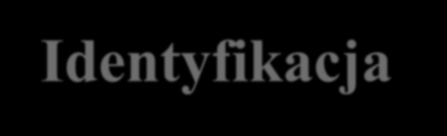 Identyfikacja determinantów specyficzności metylotransferaz DNA Dr Monika Radlińska Badanie właściwości
