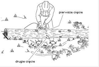 22 1. Zrób pierwsze nacięcie od góry kłody, natnij 1/3 średnicy kłody.