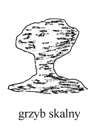 Zadanie 31. (0 3) Na Ziemi nieustannie zachodz procesy erozji (łobienia i niszczenia) oraz akumulacji (budowania).