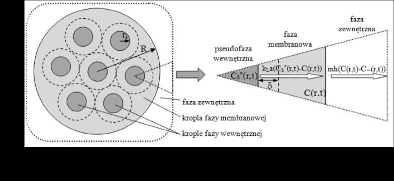 Emulsje E1, warunki uwalniania: 100 obr/min 1,2 1 0,8 0,6 0,4 0,2 0 czas, h 4,71 14,27 23,78 33,29 r, mm 1-1,2 0,8-1 0,6-0,8 0,4-0,6 0,2-0,4 0-0,2 Wyznaczanie profili uwalniania składnika w celu