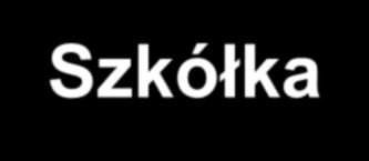 Szkółka