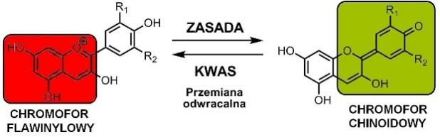 2. Odpowiedzi do karty pracy 2. 1. Na podstawie obejrzanego filmu i wcześniej zdobytych wiadomości na lekcjach chemii zdefiniuj pojęcia: ph [łac.