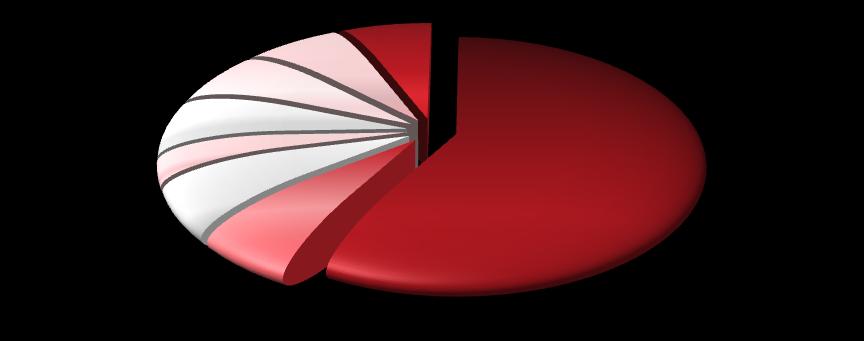 budżetów SEM w zł netto, obsługiwanych rocznie przez firmę 5 mln - 10 mln 6% Powyżej 10 mln 6% 500