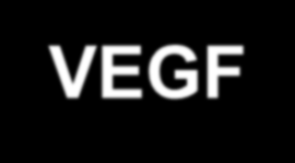 Bewacizumab Sunitinib Sorafenib Erlotinib Gefitinib VEGF