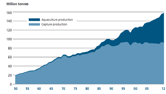 2014. The State of World Fisheries and Aquaculture 2014. Rome.