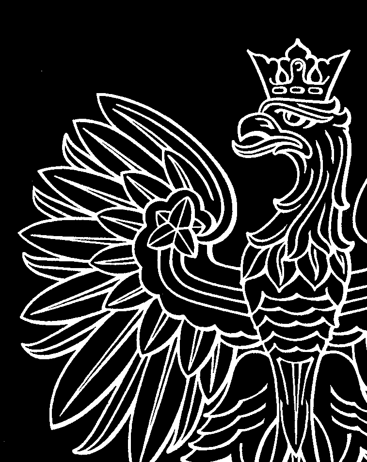 Ministerstwo Rozwoju Strategia na rzecz Odpowiedzialnego Rozwoju - projekt do ko