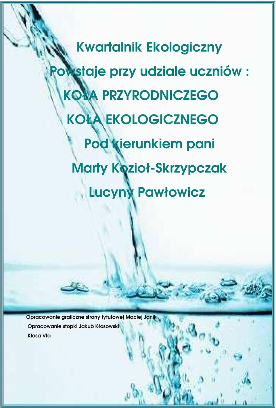 Kozioł-Skrzypczak Lucyny Pawłowicz Opracowanie graficzne strony