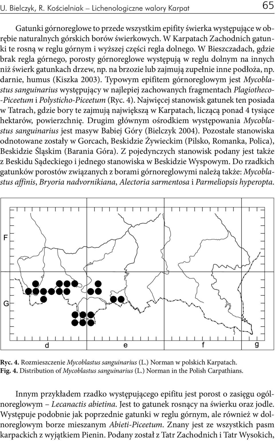 W Bieszczadach, gdzie brak regla górnego, porosty górnoreglowe występują w reglu dolnym na innych niż świerk gatunkach drzew, np. na brzozie lub zajmują zupełnie inne podłoża, np.