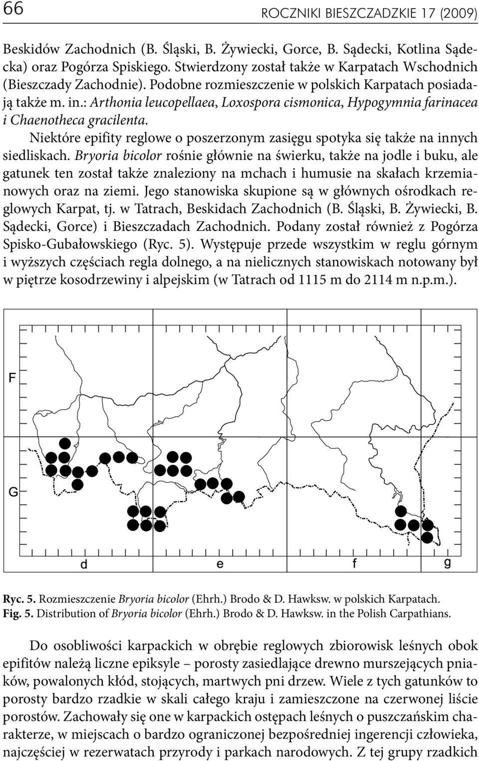 : Arthonia leucopellaea, Loxospora cismonica, Hypogymnia farinacea i Chaenotheca gracilenta. Niektóre epifity reglowe o poszerzonym zasięgu spotyka się także na innych siedliskach.