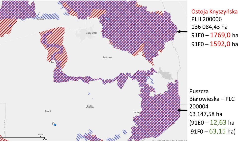 ha Puszcza Białowieska PLC 200004 63