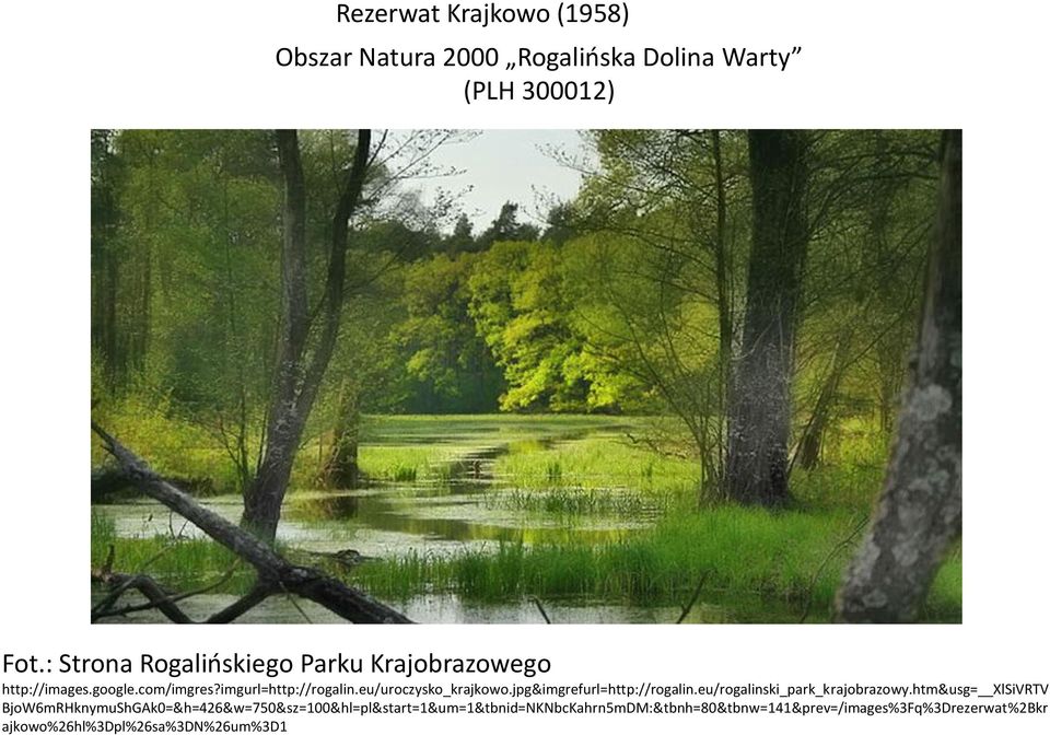 eu/uroczysko_krajkowo.jpg&imgrefurl=http://rogalin.eu/rogalinski_park_krajobrazowy.