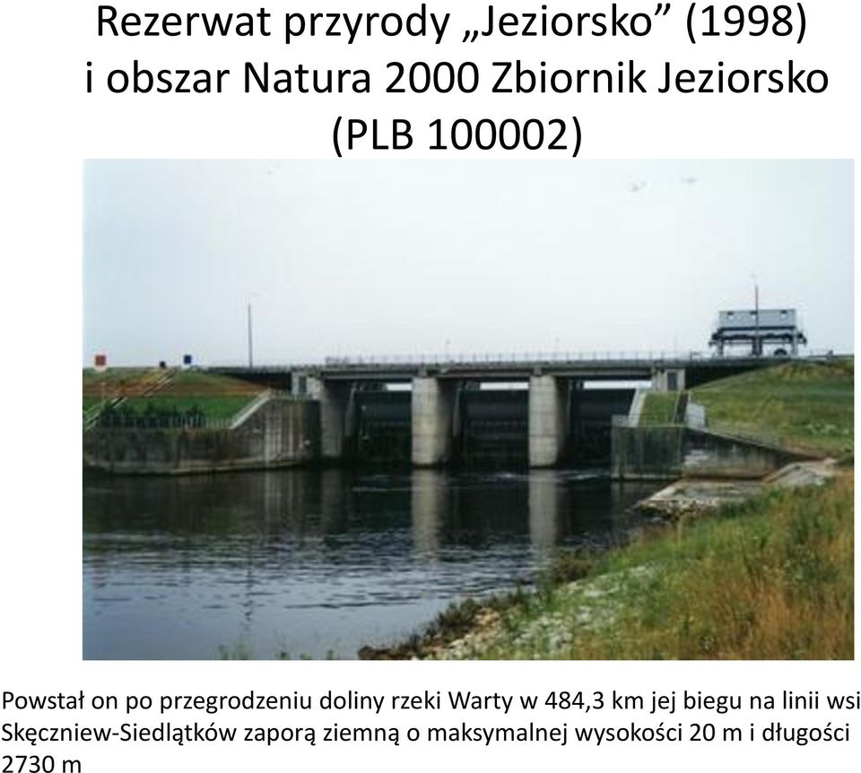 doliny rzeki Warty w 484,3 km jej biegu na linii wsi