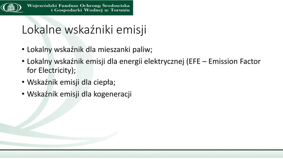 elektrycznej (EFE Emission Factor for Electricity);
