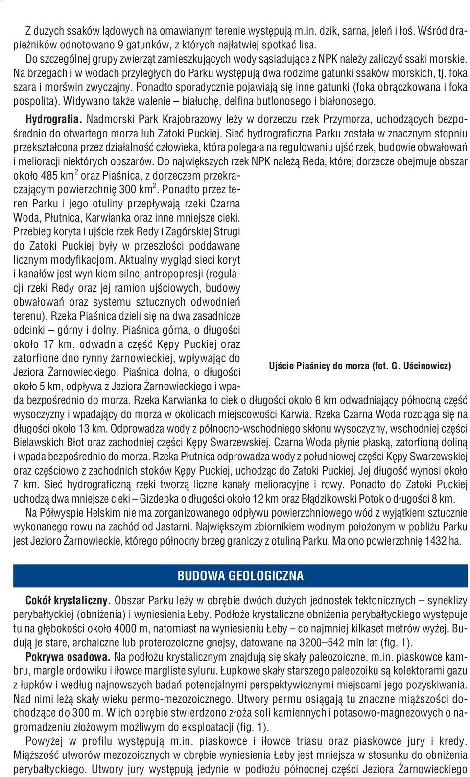 foka szara i morœwin zwyczajny. Ponadto sporadycznie pojawiaj¹ siê inne gatunki (foka obr¹czkowana i foka pospolita). Widywano tak e walenie bia³uchê, delfina butlonosego i bia³onosego. Hydrografia.