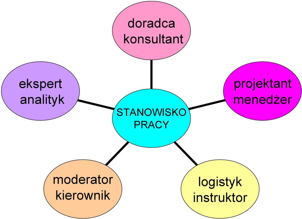 projektant menedżer