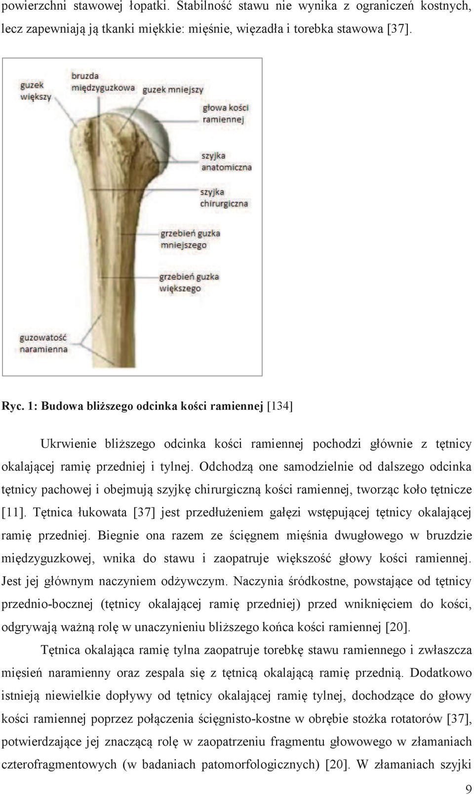 lek. med. Piotr Rusin Praca doktorska Promotor: dr hab. med. Tomasz Mazurek  Gdański Uniwersytet Medyczny - PDF Free Download