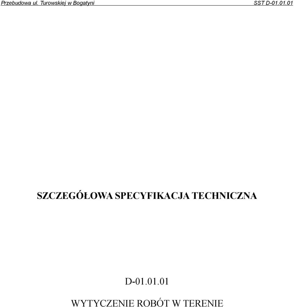 01.01 SZCZEGÓŁOWA SPECYFIKACJA