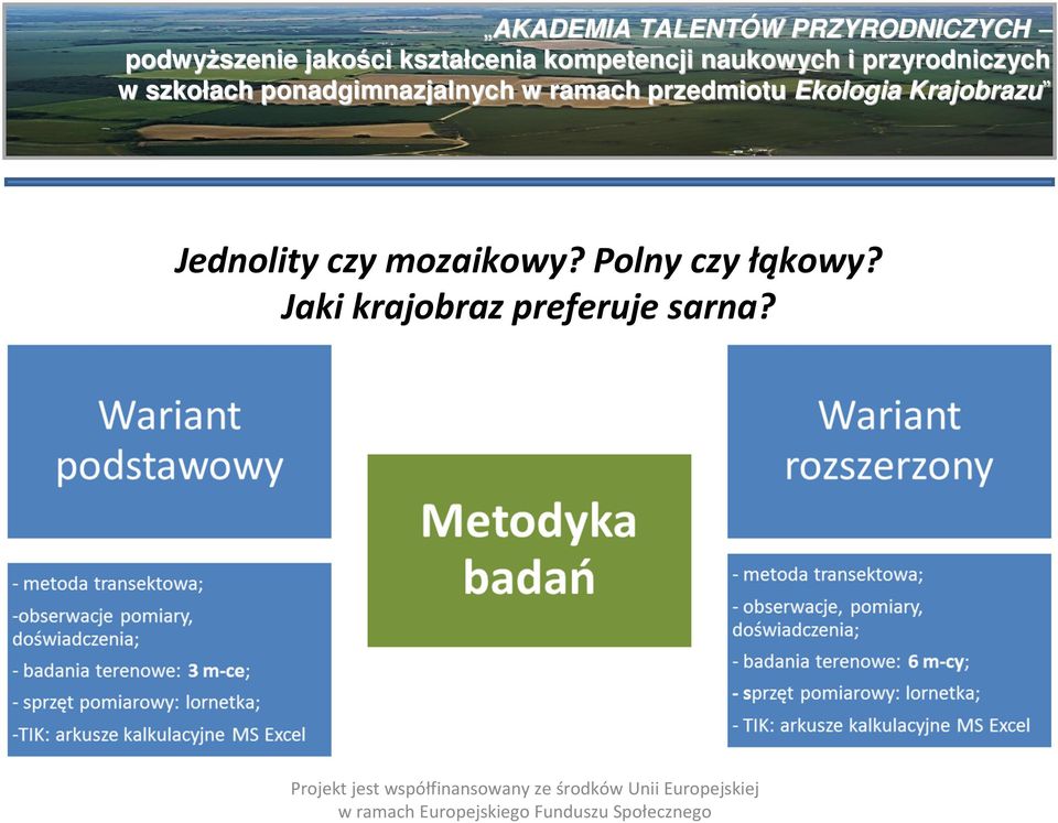 Polny czy łąkowy?