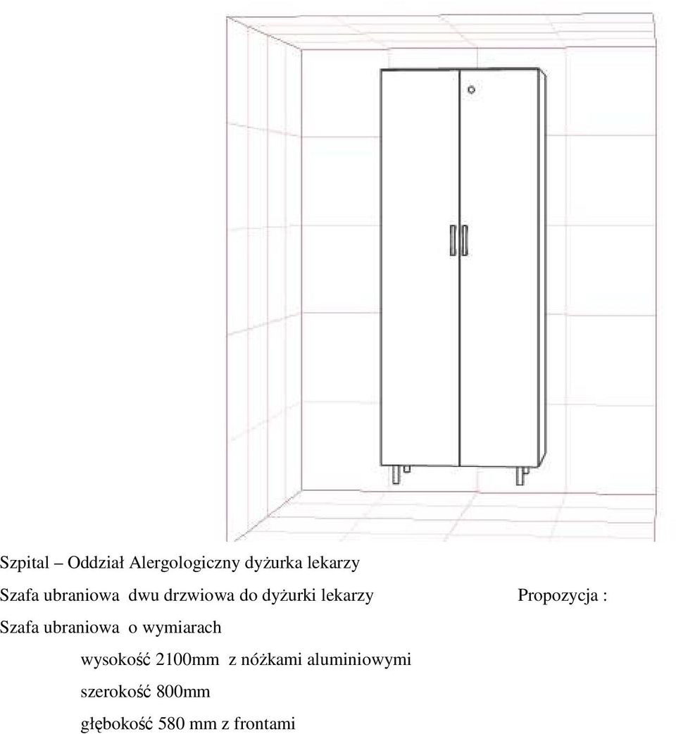Szafa ubraniowa o wymiarach wysokość 2100mm z