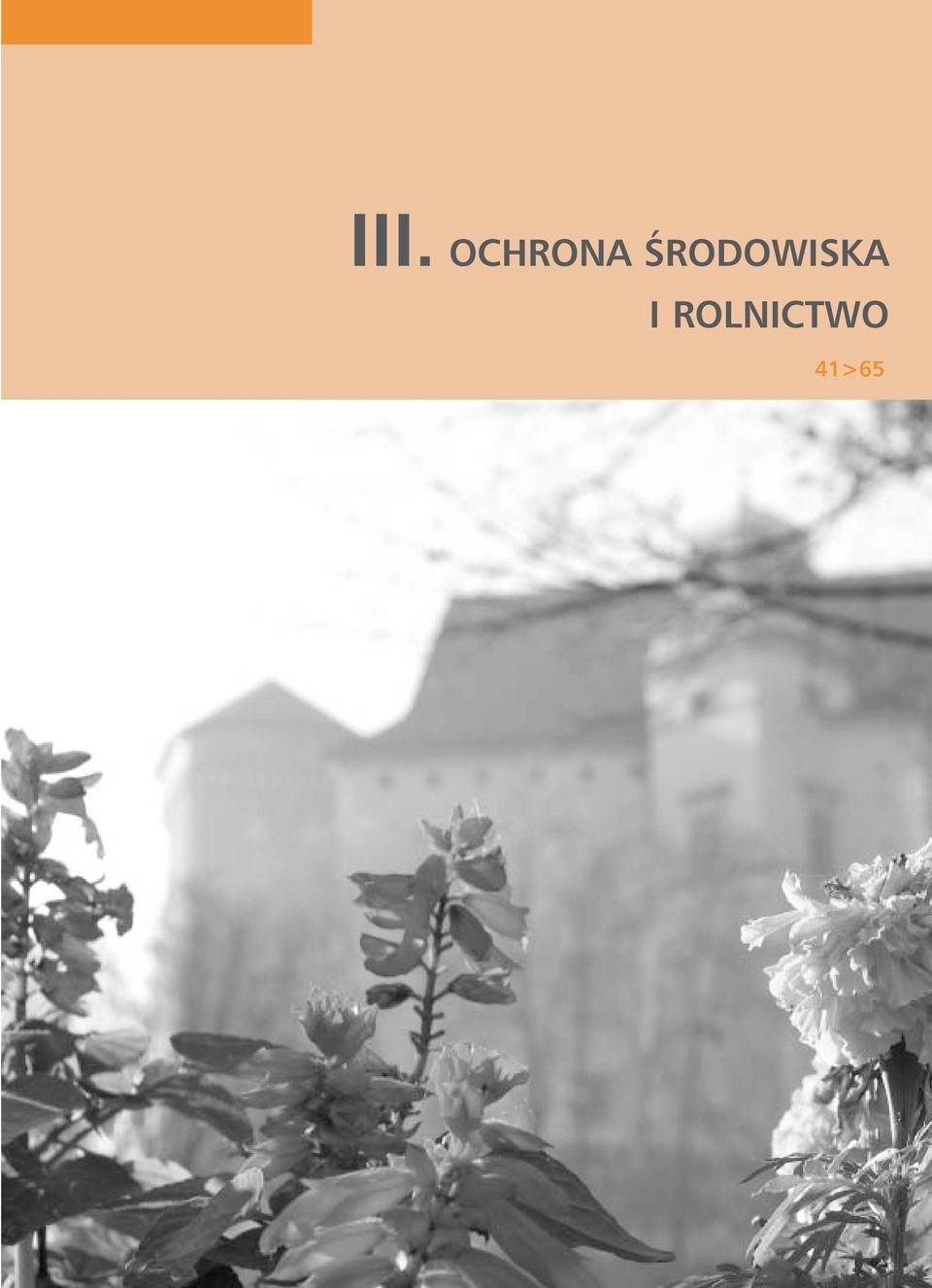 ŚRODOWISKA